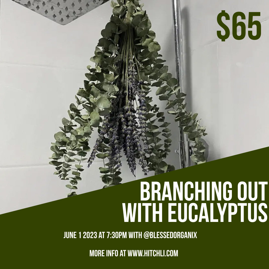 Branching Out with Eucalyputus @ BesTea 6/1