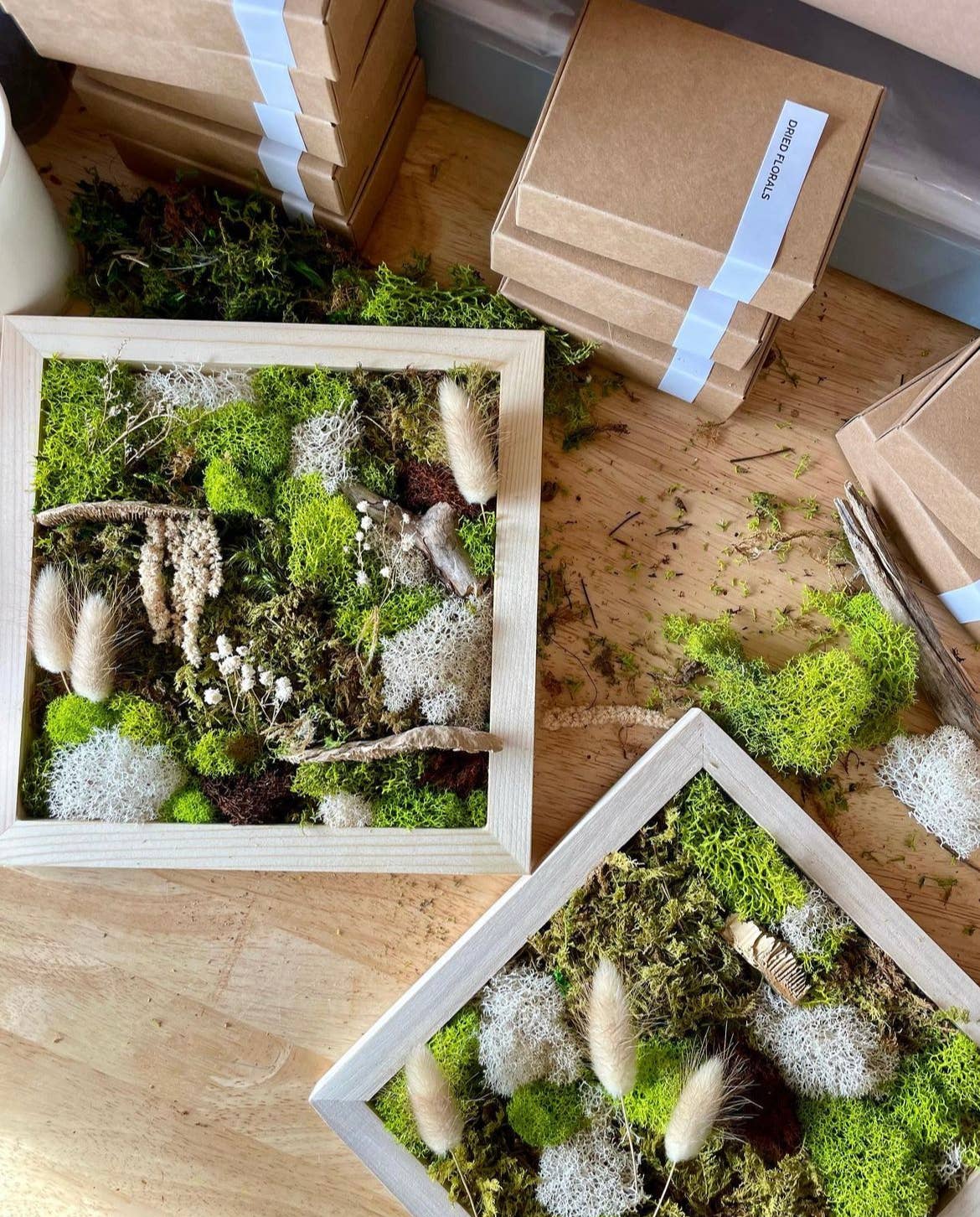 Moss Wall Art DIY Kit - Wood Frame