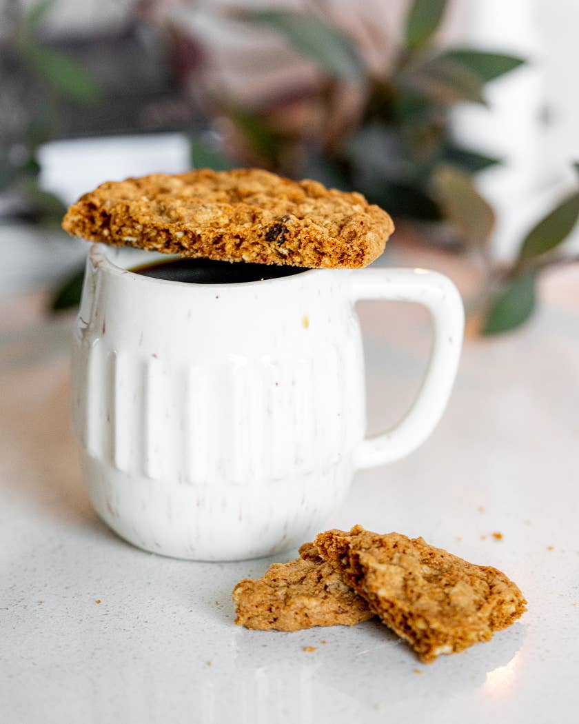 Toasted Oatmeal Chocolate Chipper Dipper Cookies